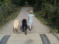 1_GEvie-Monkey-Bertie