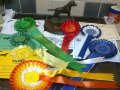 Awards