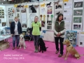 GAudrey-at-Discover-dogs